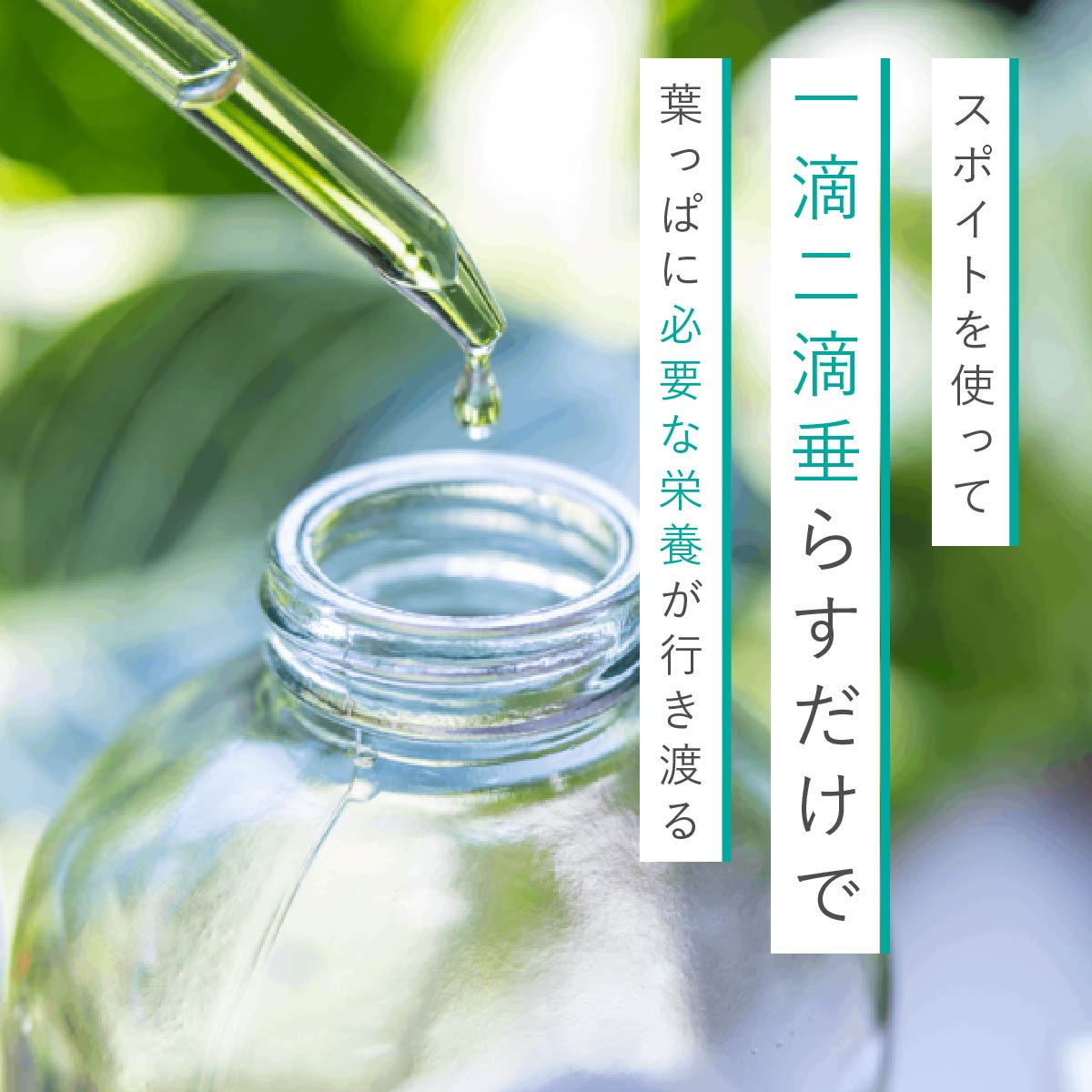 ミストするサプリ
