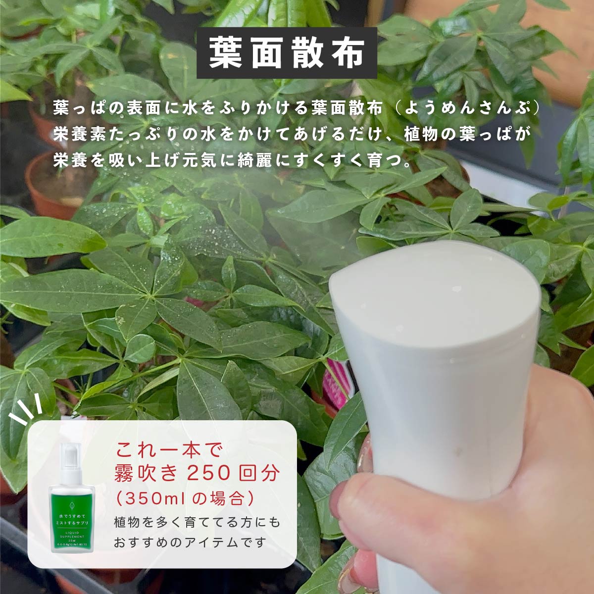 使い方