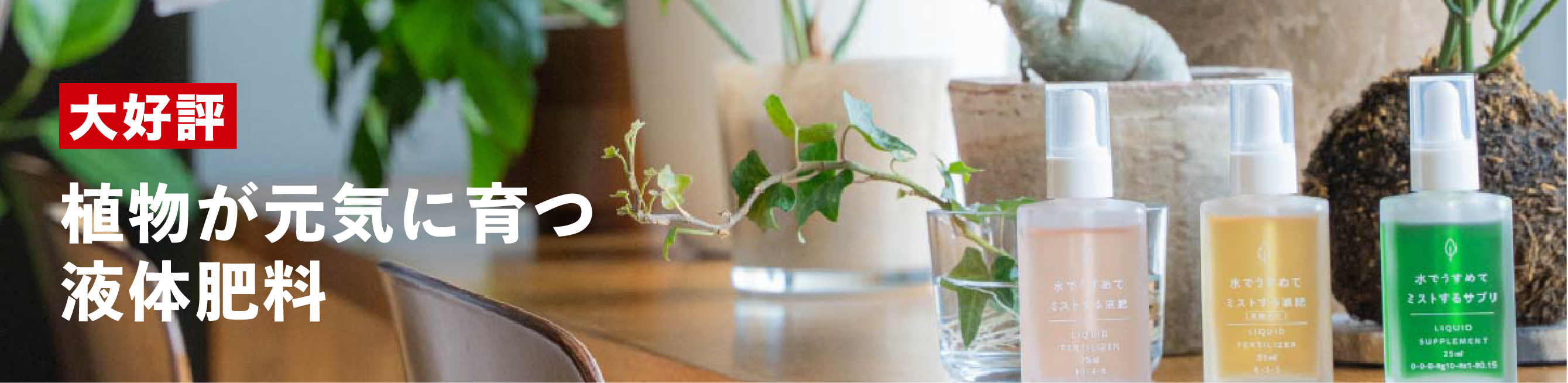 観葉植物の葉っぱを元気にしてくれる魔法のサプリ